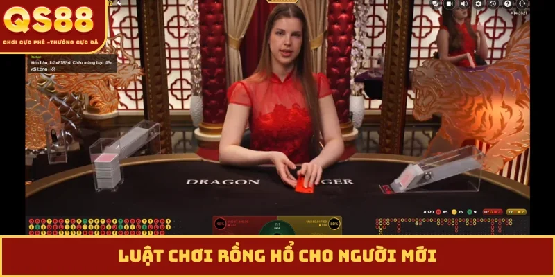 Luật chơi Rồng Hổ cho người mới
